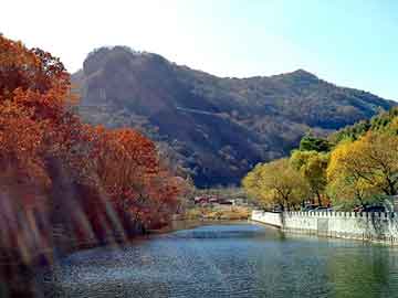 澳门二四六天天彩图库，单晶边皮回收